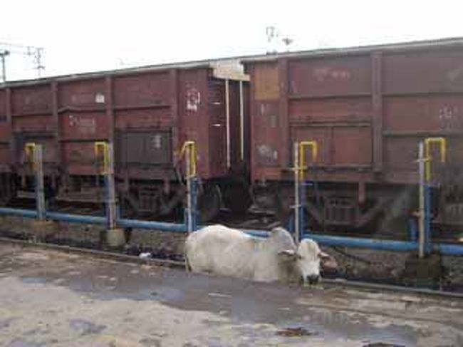 <br />このホームから乗るんじゃないけど･･･<br /><br />なんで線路にオマエがいるんだ？ 