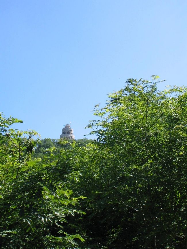 あれがエリザベート展望台。<br />遠いなぁ…