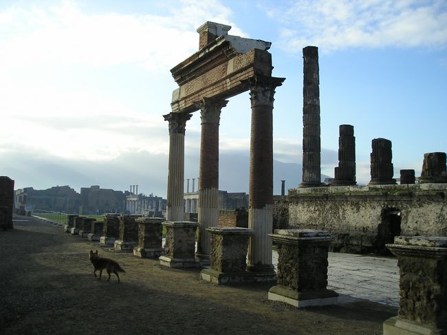 ジュピター神殿からフォロ方面