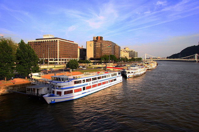 リバークルーズ船が幾つも出ています