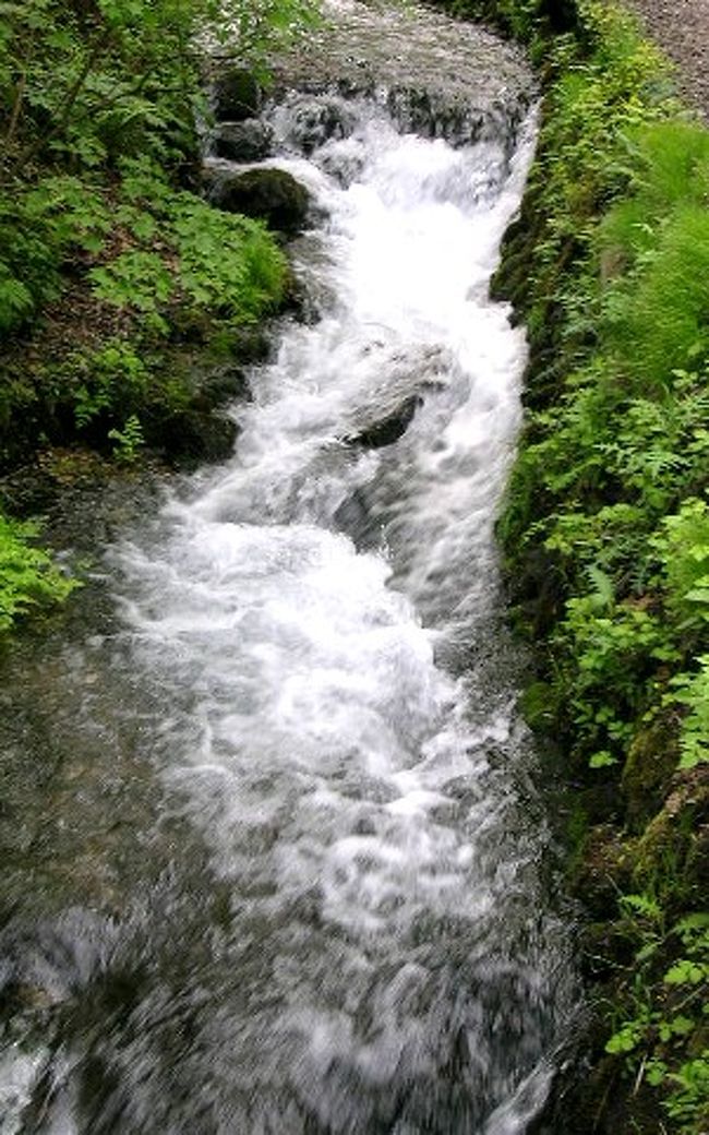 水が豊富なのでしょうか