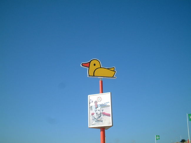 こっちはどう？<br />全部で20枚ぐらいあったかなぁ・・・