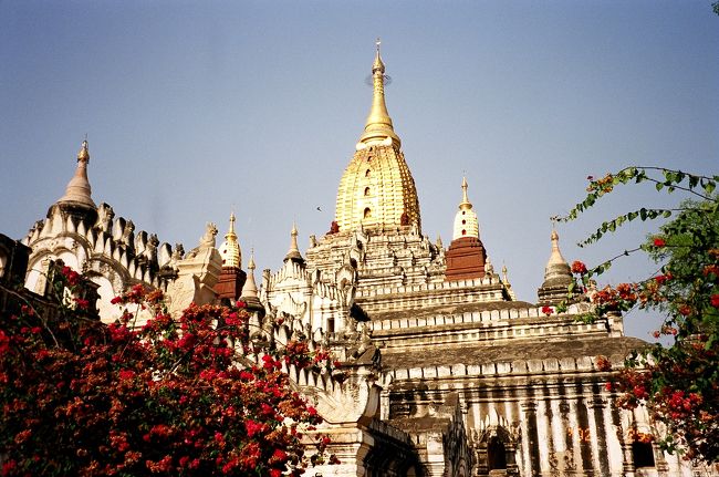 数あるバガンのパゴダの中でも、その美しさでは筆頭にあげられるアーナンダ寺院。端正な建物、白壁と黄金の塔のバランス、気品にあふれた美しさです。