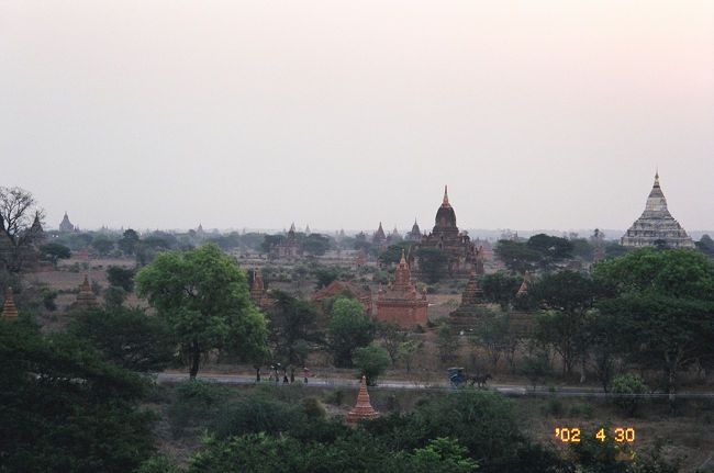 夜明け前の暗い中自転車でパゴダに向かっていると、朝の早い地元の人から通りすがりに「ミンガラーパー（おはよう）」と声がかかります。<br />灼熱のバガンもさすがに朝はさわやかです。パゴダの入口は夜間は閉まっているのですが、この時間になると子供がカギを開けてくれます。テラスに上がり日の出を待ちます。小鳥のさえずりの中、次第に明るさが増し、バガンの大地を埋め尽くすパゴダの輪郭がうっすらと浮かび上がってきます。夜間つけられていた大きなパゴダの照明が消えます。ここに朝やってくる旅行者は数えるほどで、皆静かに待ちます。やがて朝日があがります。写真をとる者、瞑想にふける者、思い思いに今日一日の始まりを楽しみます。やがて三々五々帰っていきます。<br />写真右奥はシュエサンドーパゴダです。<br />