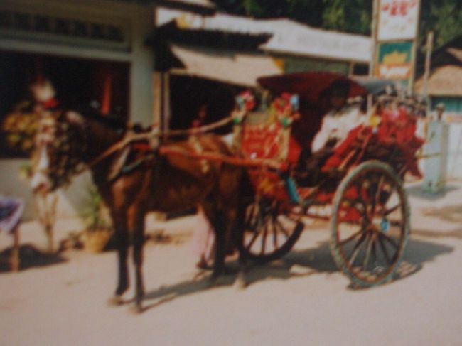 やっぱり遺跡めぐりは馬車でしょう！座席部分はいすっタイプではなくマットレスがおかれていて、ちょっとした居間気分。お馬さんの頭に、めでたく咲いたカラフルなお花（造花）も要チェック。