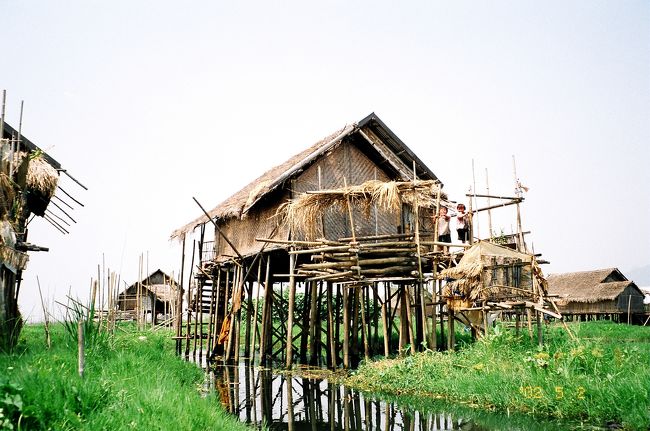 水上生活とは言っても船での生活ではなく、写真のような浮島に高床の家を水上に建てての生活です。<br />もともと、インレー湖自体が水深は雨期でも数mしかない非常に浅い湖です。<br />