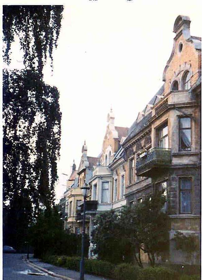 ストックホルムの街並。ヨーロッパ風の石畳の道や急な坂があり、ユトリロが描いたような美しい家並みをみることができた。