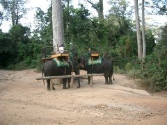 17:05 プノン・バケン

夕陽観光で有名な「プノン・バケン」へやってきました。　象に乗って登ることができるみたいです。　料金は登り＄１５（１人）で下りが＄１０（１人）とのことでした。