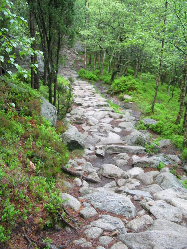 最初から急な上り。<br />休憩しながら登ります。<br />