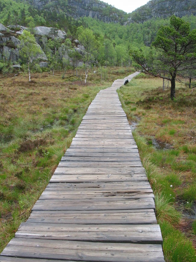 キツイ登りから、ひらけたところに出てちょっとホッとします。