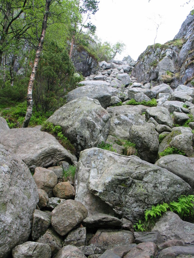 ホッとしたのも束の間。。。ここからはもっともっとキツイ<br />岩だらけのところを登っていきます。<br />う〜む。。。よじ登るって感じかな(-_-;)