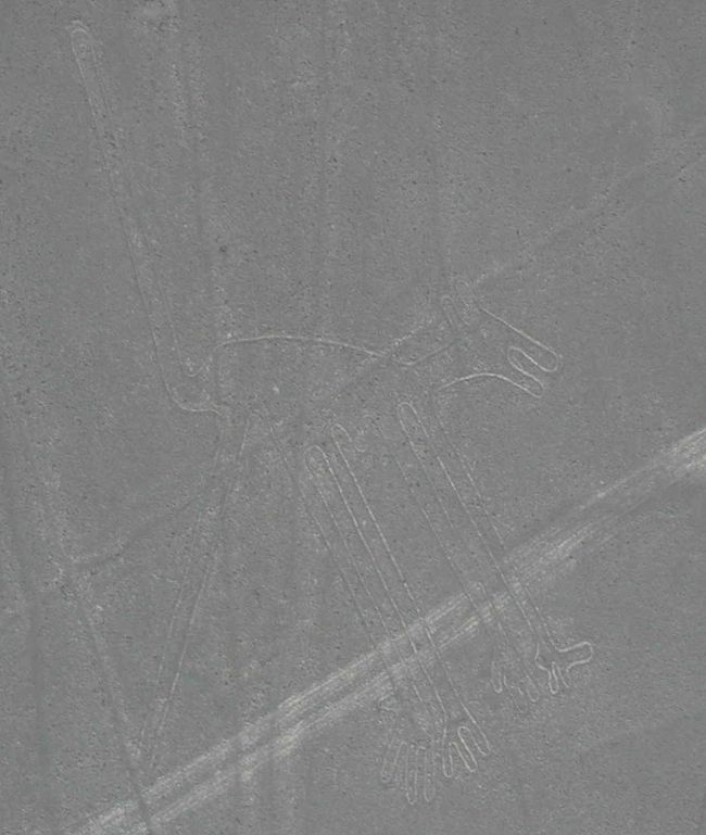 ☆ナスカ地上絵　いぬ？☆