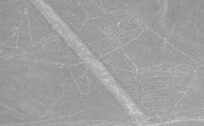 ☆ナスカ地上絵　くじら？☆