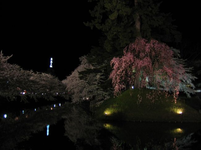弘前城の夜桜：<br />美しいものに圧倒されたこの時の気持ちは、満点の星空を眺めている時のものと良く似ている。本当に素晴らしかったです。またこの景観を保つための地元の人達の努力にも感謝しています。