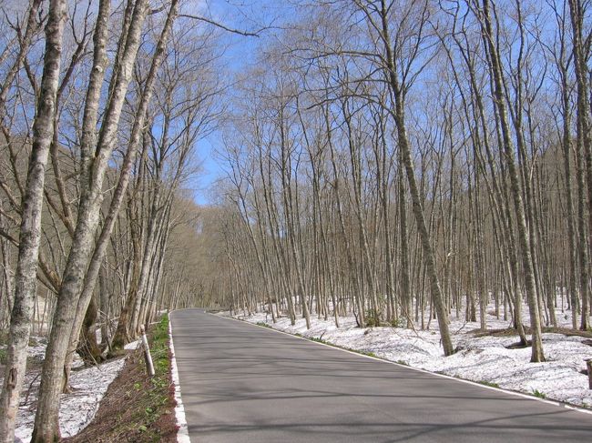 弘前⇒奥入瀬：こんなに清々しくなる気候は久しぶりです。暖かい空気と冷たい空気が交互に肌に触れ、心地良かった。