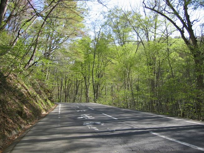 奥入瀬渓流：渓流からはようやく春の訪れを感じる一方、沿道はすでに新緑で包まれていた。