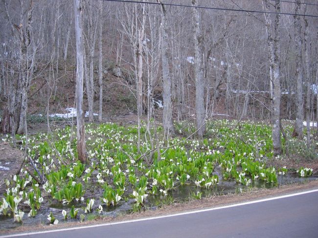 国道341号八幡平付近：バイクに乗るとついつい風を切って走ることに夢中になってしまうけど、バイクを止めて見入ってしまった。