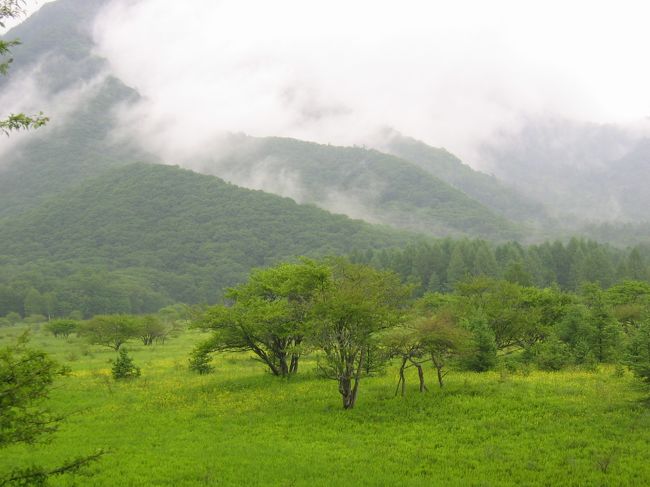 男体山：この日は雨が激しく人も疎らだった。歩いていると野生の鹿が目の前を悠然と横切っていった。