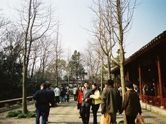 【拙政園】

昼食の後は中国四大名園の一つ、世界遺産の「拙政園」観光です。
駐車場でバスを降り、摂政園に向かう途中の景色です。
この辺りは木がたくさん植えてあったりして、何となく落ち着きます。