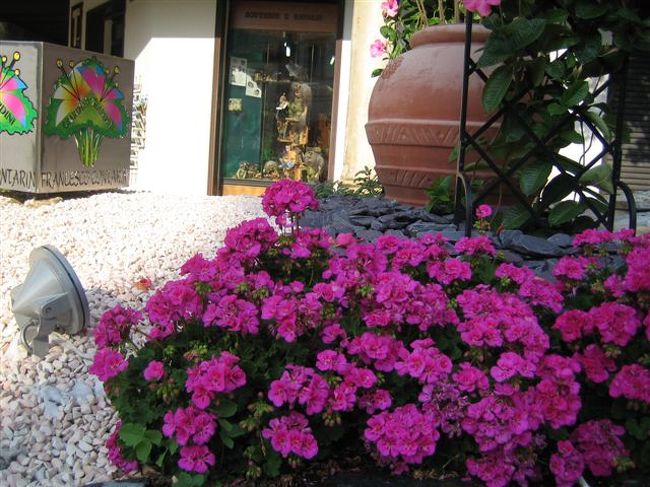 街にはいたるところに花がある。