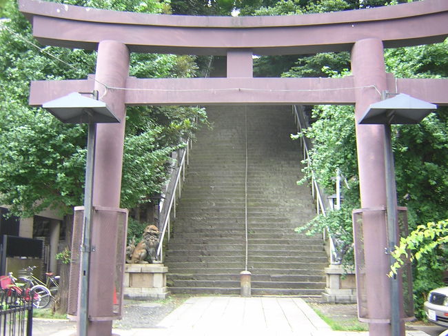 これが参道です！！鳥居の奥の階段、ここを上ると出世するという“出世の石段”。(^_-)-☆ 江戸時代、三代将軍・徳川家光が石段上にある梅の花が欲しいと言い、皆がためらう中、ある武士が馬で石段を上り、見事に梅の花を家光へ届けたことから、出世をしたんですって！☆彡８６段あるらしい。。。そんな名所ならばと、わざわざ石段を上りなおした私。