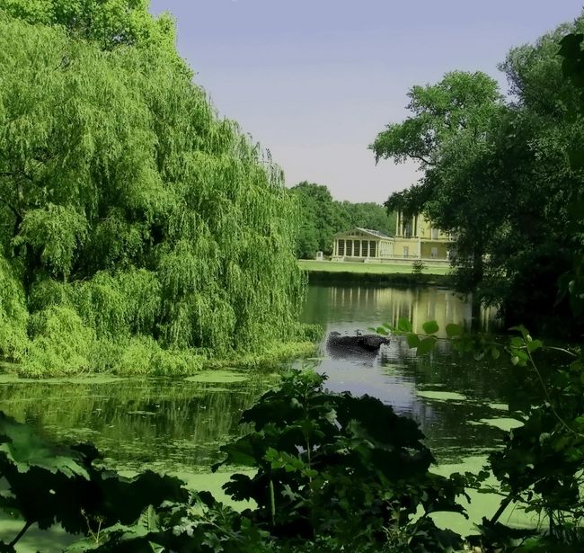 ◆『宮殿の庭をぐるりと廻って池越しに宮殿をパチリ♪』<br />鬱蒼と茂る宮殿の庭をぐるりと廻ると、庭の砂利がサンダルに入るしぃいい(TｏT)<br />イマイチな庭をサッサと通過して外にでると、またまた衛兵パレードをやってるらしく「押すな押すな状態」（￣◇￣;）で・・人を掻き分けながら、昨日預けた荷物を取りにCROWNE PLAZA LONDON ST.JAMESに戻りました♪