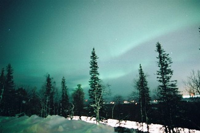オーロラ<br />山の上で周囲は暗く、撮影してくれといわんばかりの木々が立ち並んで絶好の撮影場所であるが、町の灯りが入ってしまうのがいまいち。