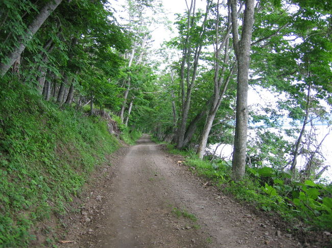 屈斜路湖畔林道：あまり車が通らないのか、走っていくとたくさんの鹿がボーっとしてました。そのうちの一匹とはかなり長いあいだ一緒に走りました。時速47kmでした。