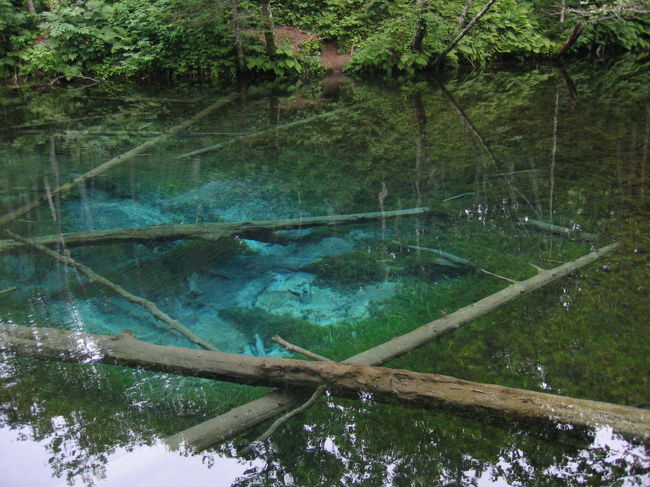 神の子池：そんなに透き通ってると泣けてくるね。