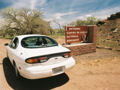 【本日2つ目、キャニオン デ チェリー国定公園】

化石の森国立公園（Petrified Forest National Park）北側出口からからインターステートI-40,Eastを20マイル程度走るとチェンバーズ（Chambers）というジャンクションでUS-191の出口があります。
ちなみにこのあたりのI-40はあの有名なルート66（Histric Highway Route 66）の一部になっているようです。
このUS-191,Westでガナード（Ganado）、バーンサイド（Burnside）という街を経由してAZ-7を走ること約80マイル、本日2番目の目的地キャニオン デ チェリー国定公園（Canyon de Chelly National Monument）に到着しました。

Canyon de Chelly National Monument, Arizona