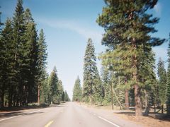 【初、セコイア国立公園】

アメリカドライブ14日目、快晴です。

フレズノ（Fresno）の街を出て、CA-99,South、CA-198,Eastを約80マイル走り、最初の観光スポットとしてセコイア国立公園（Sequoia National Park）の入口までやってきました。

On hte route CA-198, East, California