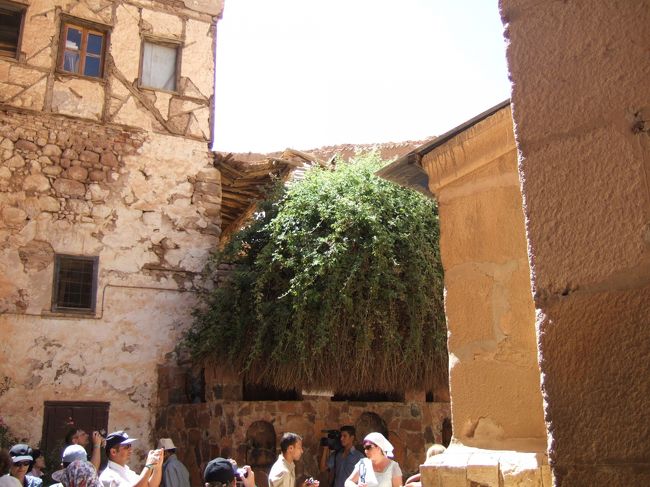 セントカトリーナ修道院。<br />気温がどんどん上がります。<br />水分補給を忘れずに。