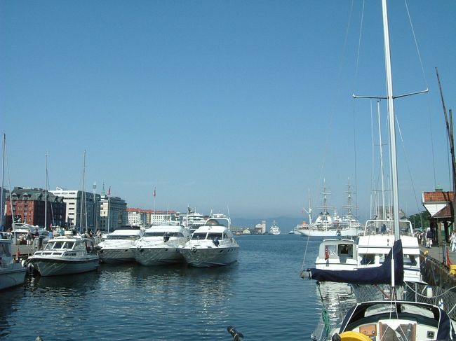 フィッシュマーケット近くから　自家用ボートが沢山停泊しています