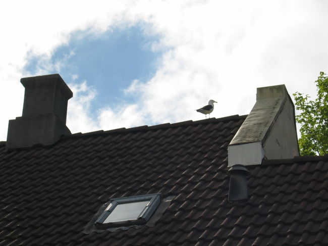 ☆８・９日目に続きます☆