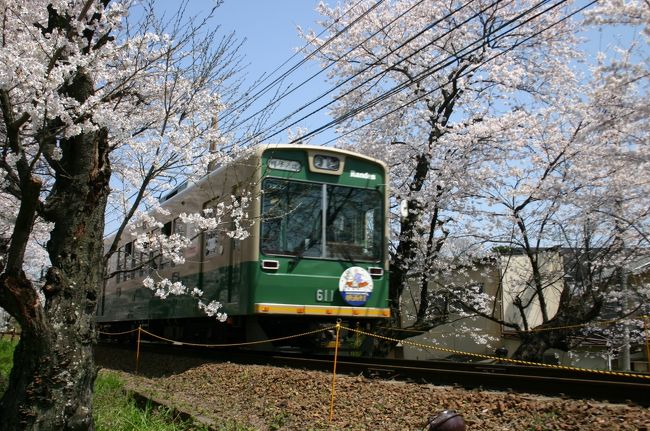 ＲＡＮＤＥＮ（ランデン）Withサクラです。地元京都の方達が大勢駆けつけていました。ベストショットポイントみたいです。