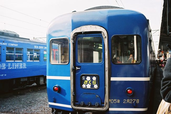 3527 生写真 1981年 14系 寝台特急「さくら 」長崎駅にての通販