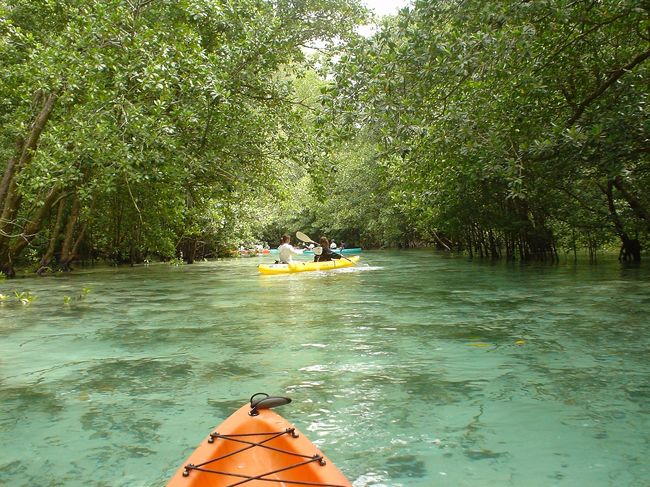 シーカヤックも初めて。<br />マングローブを見るのも初めて。<br />初めてでも超楽しめました。
