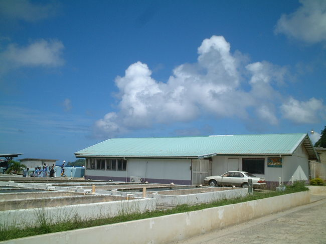 マラカル島最南端の水産試験場に行きました。<br />シャコ貝の成長の過程が見れました。<br />観光客は・・・全然居ませんでした。<br />みんなダイビング中？