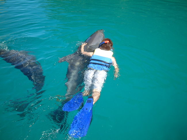 ドルフィンシンフォニーでイルカさんとお友達！<br />来て良かった〜！　来て良かった〜！