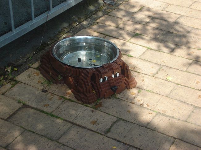 犬用の水入れ。パーク内にはペット連れ込み可なので、ペットを同伴している人が多数いた。
