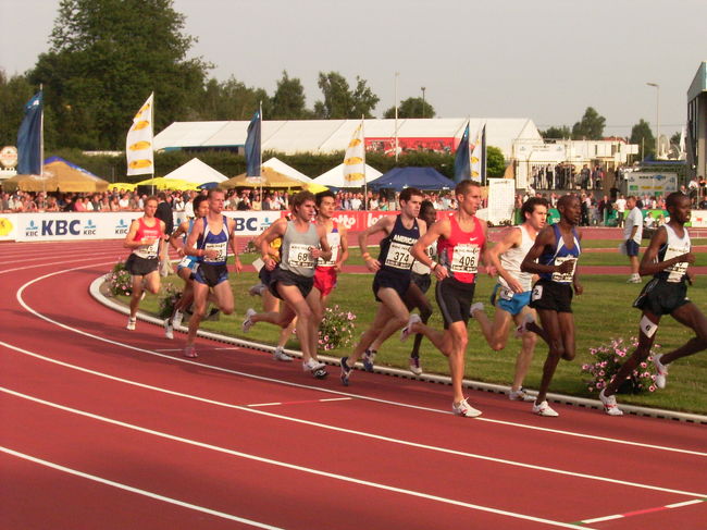 レースはこんな感じですね。目線がトラックと同じところにあるので、迫力があります。