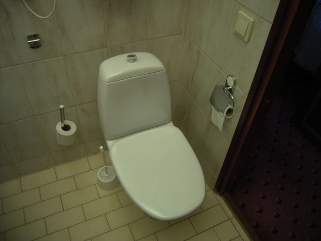 トイレです。このトイレの形とか水のスイッチ（？）とかに、お国柄が表れていて、個人的に非常に興味ある所です。