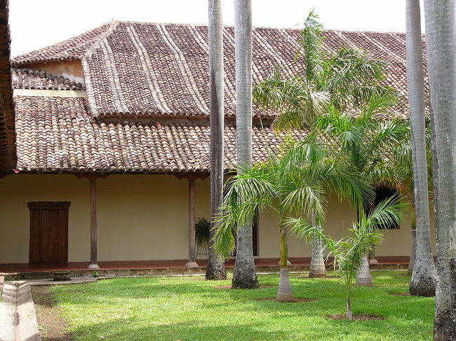 椰子の林と芝生だけの中庭。