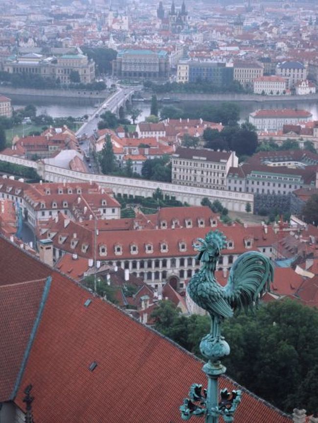 カテドラルの塔からの眺望２