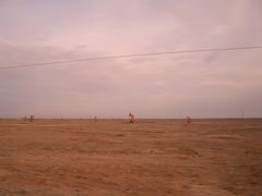 20:00　石油採掘場

砂漠の中には所々に石油プラントがありました。