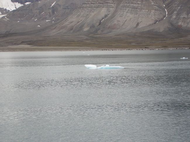 海に浮かぶ氷河