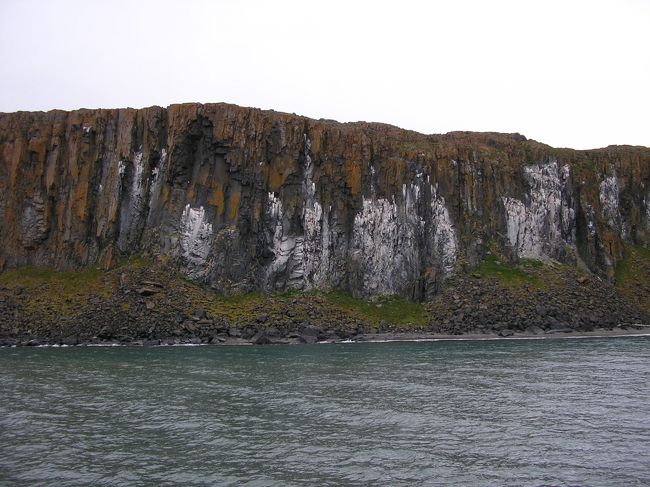 ここは地形上の問題か鳥が多数巣を作っています。白いのは鳥の糞、それを栄養に苔が生えます。巣から落ちる雛も少なくないようでそれを狙って北極キツネがうろうろしています。