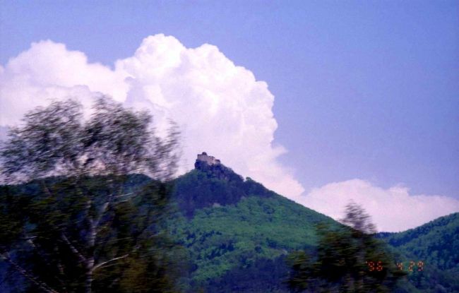 鉄道ですとタダですが...<br />★バッハウ渓谷下りの船のページ<br />http://www.ms-austria.at/partner/brandner/e/<br />http://www.ddsg-blue-danube.at/