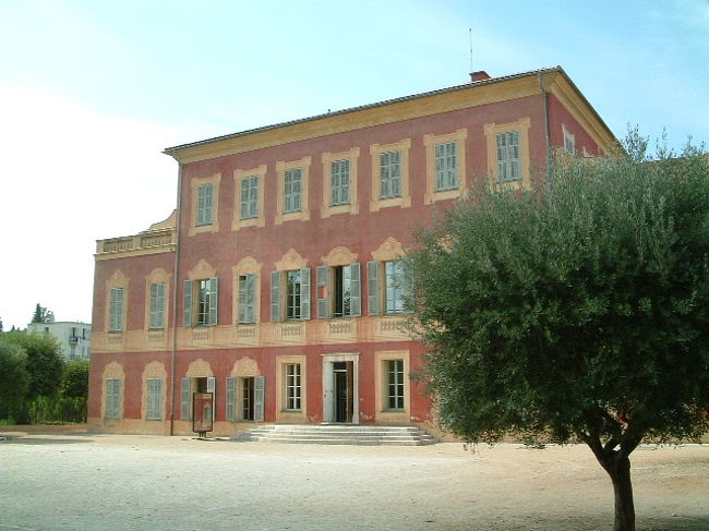 マチスの美術館に行きました。雰囲気のいい建物です。オリーブの木越しに撮ってみました。