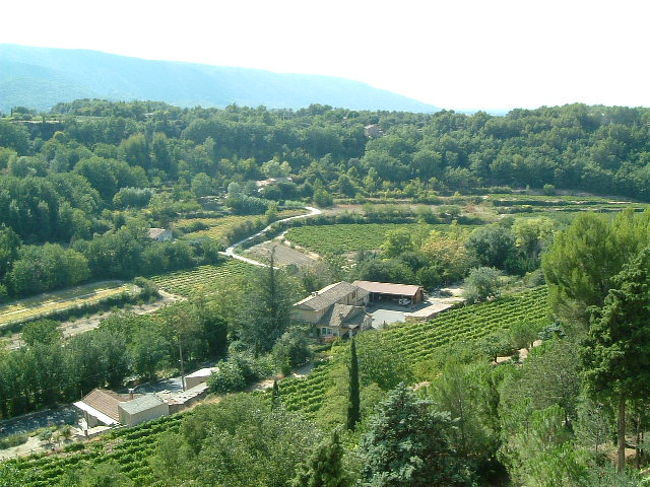 「プロバンスの12ヶ月」の著者ピーターメイルの住んでいた「メネルベ」に寄って見ました。<br />プロバンスらしいワイン用のブドウ畑とオリーブ畑の田舎の風景です。